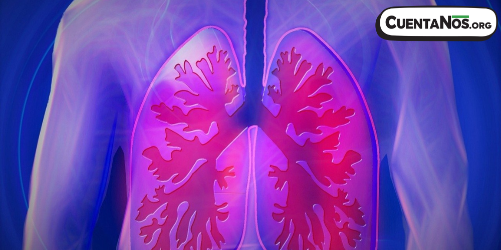 Tarjeta de pulmones.png